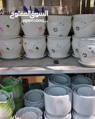  24 جميع الاشجار المثمرة والزينه  تنسيق وزراعة الحدائق الخارجيه والداخليه  صيانة الحدائق وتشكيل الأشجار