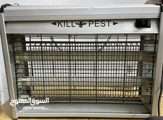  1 ناموسية للقارص