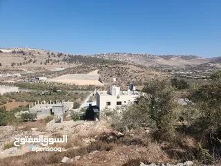  5 حصة في منطقة المشتل