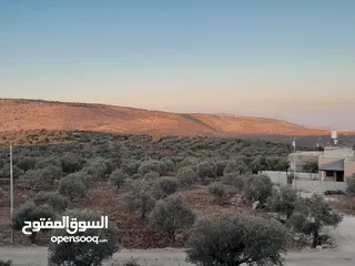  2 ارض اوصلها كل الخدمات صالحه للسكن