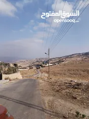  4 5 دنمات دخلة مطعم خيل وليل اكثر من قطعة