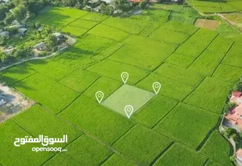  8 فرصة استثمارية ذهبية – أرض للبيع في روجيب نابلس تصلح لسكن او لمشروع تجاري تصنيف B متوفر كافة الخدمات