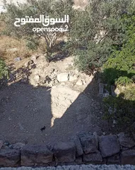  8 بيت مستقل مع ارض دنم   للبيع