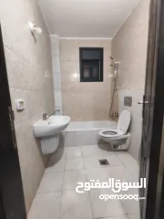  12 شقة غير مفروشة مع حديقه للايجار في عين مصباح