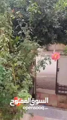  9 فيلا جاهزه للسكن  ضاحية الجنان ومن المالك مباشره
