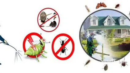  9 شركة مكافحة حشرات جازان