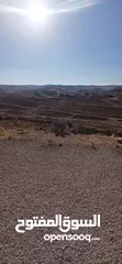  23 قطعه ارض للبيع