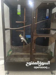 3 كوكتيل  منتج وشغال وتحتوي بيض  للبيع مع المطير موجودات في القويسمه