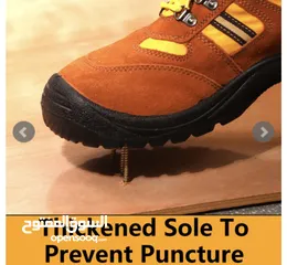  3 Saftey Shoes