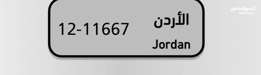  1 رقم 12-11667