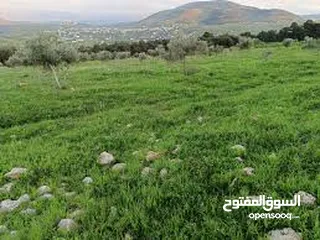  2 طوباس بل قرب من بنايت الجامعه الجديده مطله عله تياسير طوباس بجانب الأرض بنايات جديده كلها بجانب ارض
