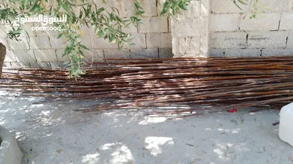  5 مواد بناء حديد + كانات
