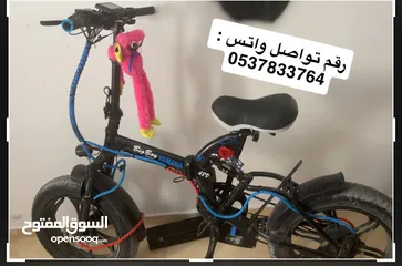  1 بسكليت كهربا