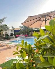  17 شاليه التلال الجوفة