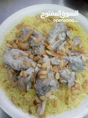  14 شيف طباخ شرقي وغربي وسلطات ابحث في الفندق عن عمل خبره في الاكل العربي والسلطات