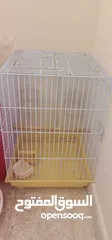  6 Birds cage for parrots and feeding