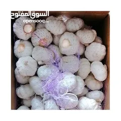  5 Garlic on wholesale   الثوم بسعر الجملة Minimum order 1 ton