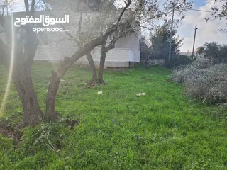  1 ارض للبيع في جفنا مساحه 700 متر