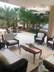  9 مزرعة في الشونة الجنوبية / غور نمرين - ref: 12165