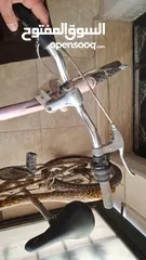  4 بسكليت اوروبي