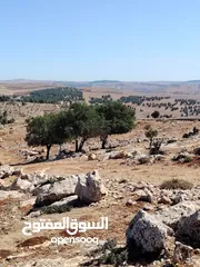  7 ارض للبيع جرش عنيبه سكان المهندسين