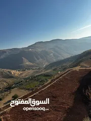  7 مزرعة مميزة في   البحاث و وادي الشتاء السياحي على اعلى قمة و مخدومة بالكامل ومروية من نبع البحاث
