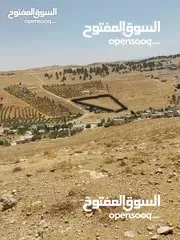  3 ارض زراعية 5384م قرية عين بني حسن وسط مزارع