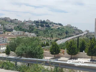  4 دنم و 44 م مقابل مضافة الدرادكة دنم ب القمة عالي