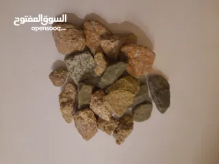  13 حوض سمك بسعر حرق اقرأ الوصف+عرض لفترة محدودة  بسعر حرق منافس للأخرين اقرأ الوصف