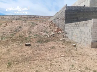  1 ارض في البيضه