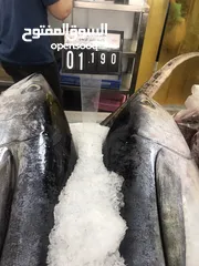  7 ‏للبيع سمك