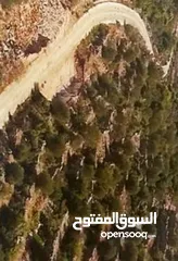  1 ارض للبيع في قراوة بني زيد