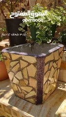  27 احواض زريعه اسمنتيه قابله للبدل على طيور