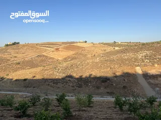  9 أرض زراعية للبيع في سيحان / البلقاء 5 دونمات و 300 متر.