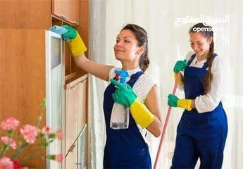  22 شركه تكه لجميع خدمات النظافة المنزليه والفندقية والشركات