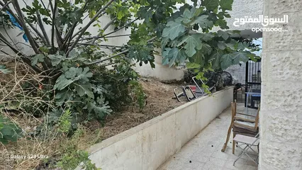  4 فراس ابو يزن