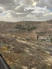  8 أرض للبيع من المالك مباشرة الخليل دورا