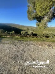  1 ارض للبيع اراضي جنوب عمان زملة العليا