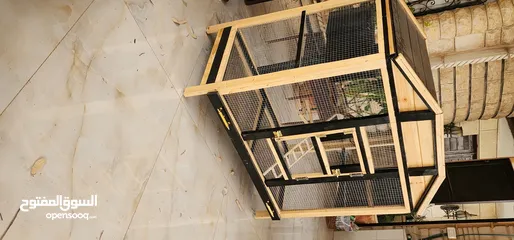  2 مقصورة الطائر الفاخرة