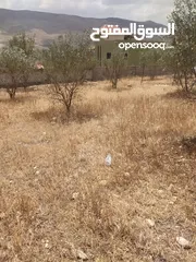  7 بيع قطعة ارض