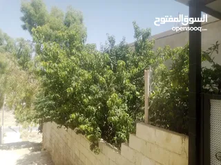  5 منزل مستقل جرش اسكان عجرمه  3غرف نوم 2حمام  صاله مع مطبخ امريكي  بلكونه  حديقه مساحه الارض 305