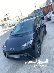  1 بي واي دي سيجال عداد قليل موديل 2024