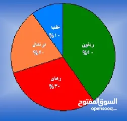  1 مدرسة رياضيات