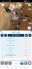 3 قطع اراضي المستنده الطبقه والمستنده موقع مميز لقطه 27500 يوجد فيلا بالبيضاء الأرض 500 البناء 240 متر