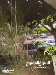  2 شقه للبيع مدينه نصر  امتداد عباس العقاد بجوار السفارات عمارات الفتح ( الشرطه )