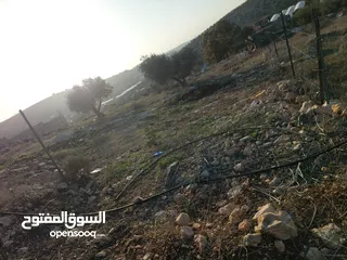  1 ارض على شارع رئسي بين الدير وأم التوت زيتون وللبناء جبلية وكاشفة