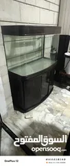  3 متاح تشكيلة احواض سمك اجنبيه
