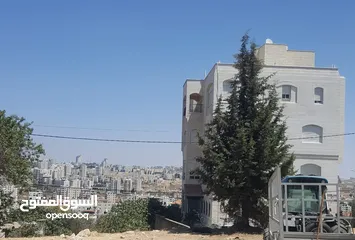 3 مطلوب عماره كامله الايجار الطلب من10شقق او20حسب الموجد رام الله