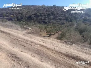  2 ارض للبيع في صوريف - خلة ابو سليمان