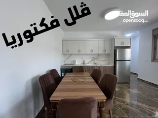  15 ڤلل فكتوريا